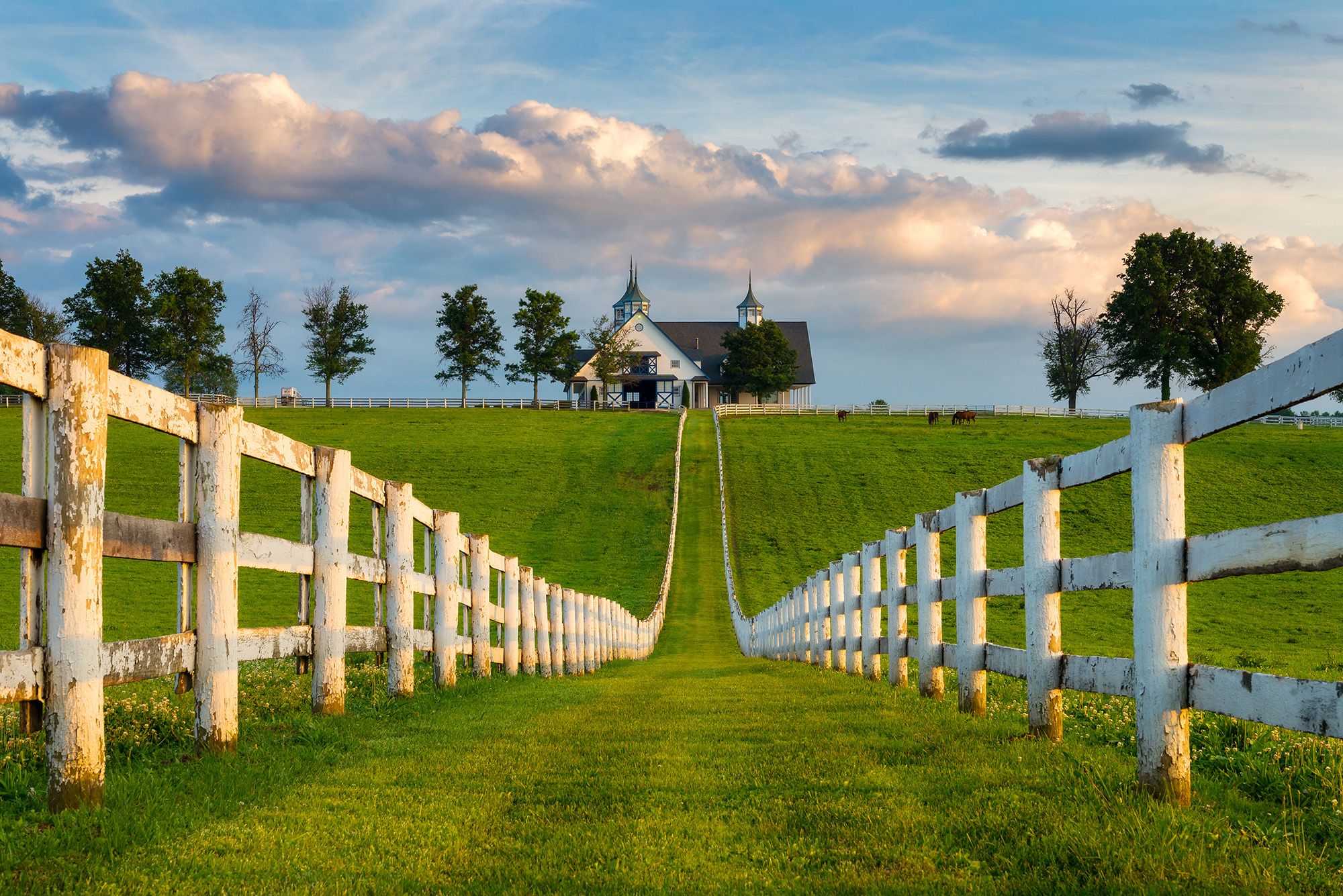 Farm and Ranch(1)