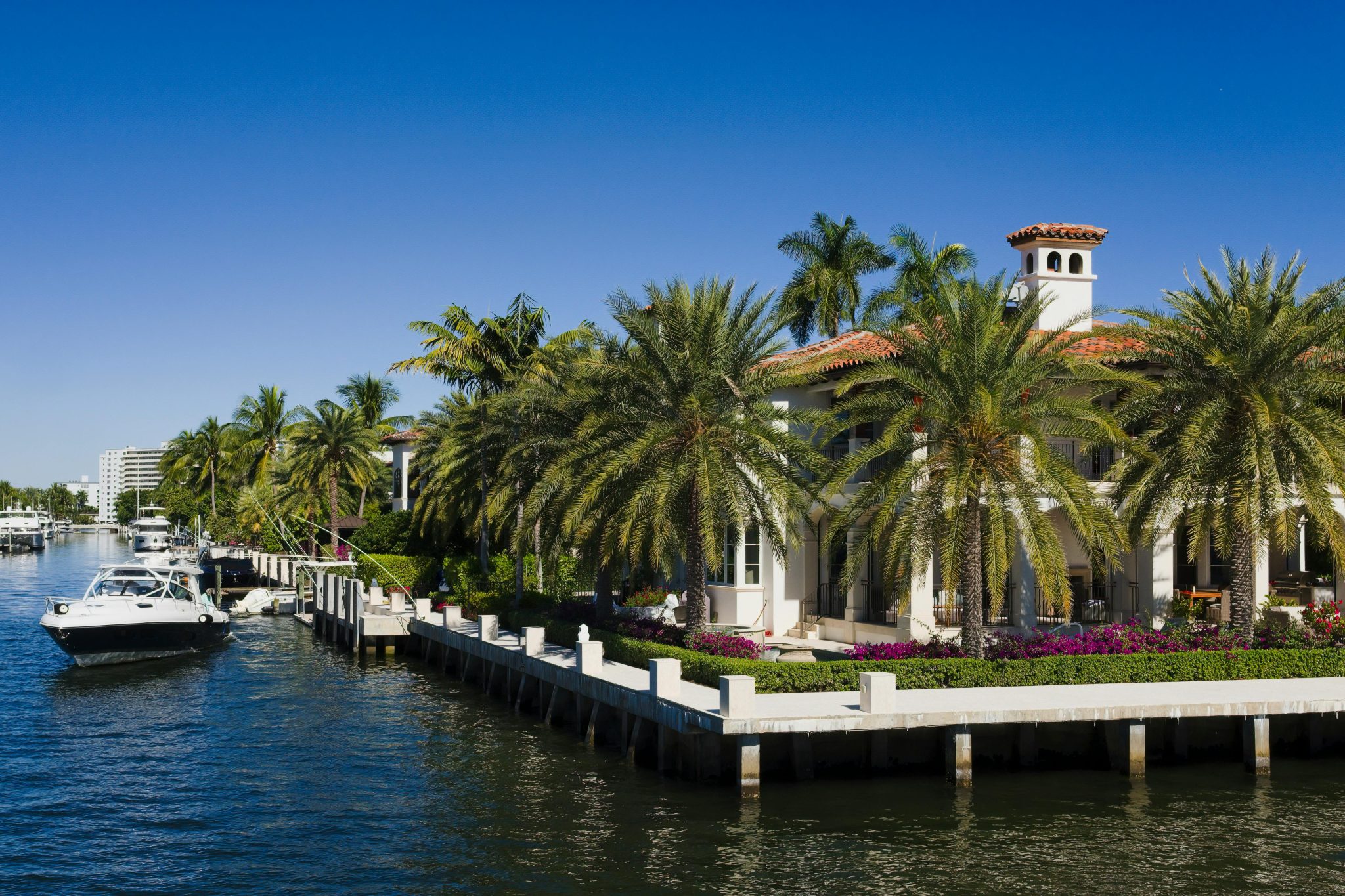 Waterfront luxury home with private dock and palm trees along a Florida waterfront